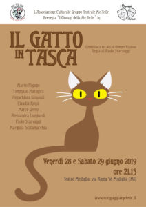 locandina Il gatto in tasca